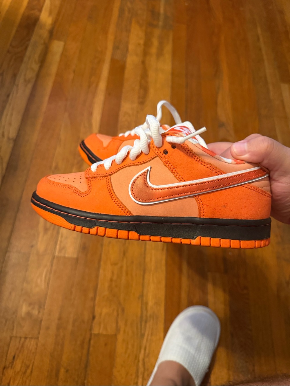 Nike sb orange lobster size 5 great condition. Worn a few hours